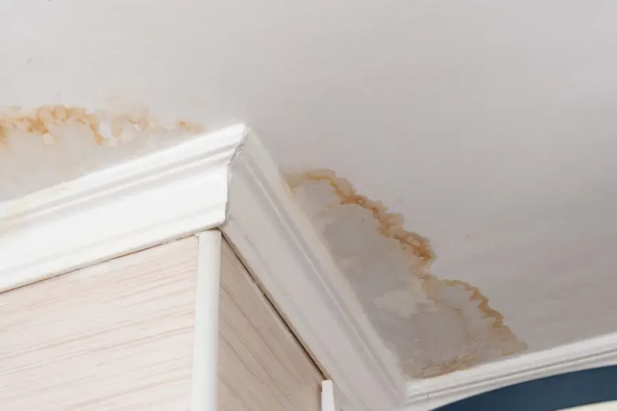 Brown water stain spreading across a ceiling corner above crown molding in Palmdale