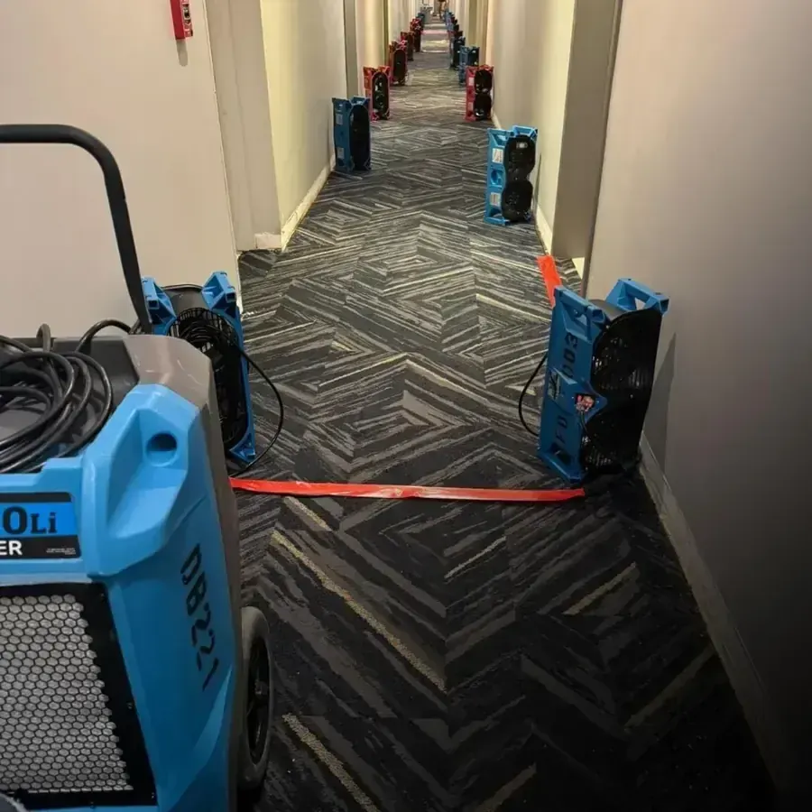 Air movers and a dehumidifier drying a carpeted commercial hallway in Palmdale
