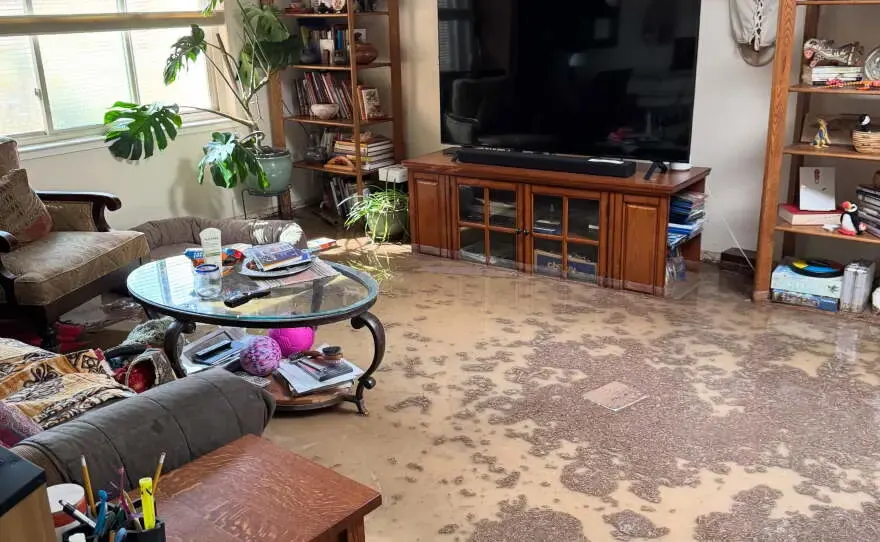 Mud and runoff left across a living room floor after a flash flood in the Antelope Valley